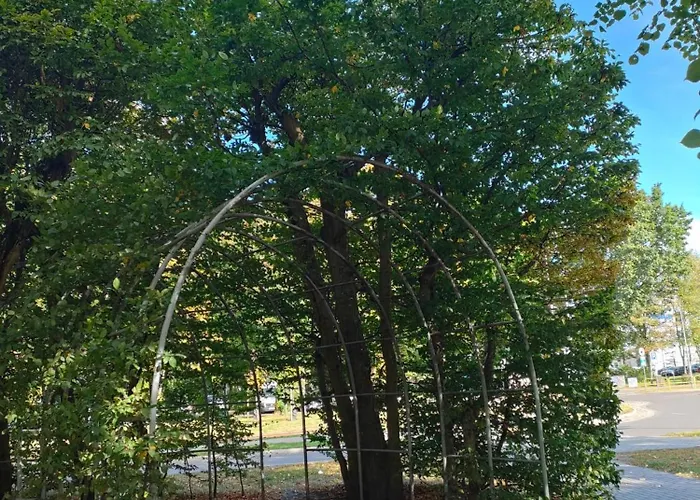 Prywatny W Hotelu Diwa W Strefie Kurortowej Z Klimatyzacja I Parkingiem Wcentrum Kolobrzegu
